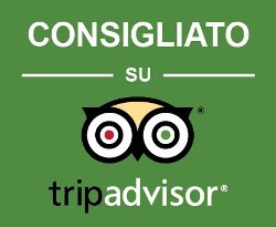 ristorante stresa consigliato su tripadvisor